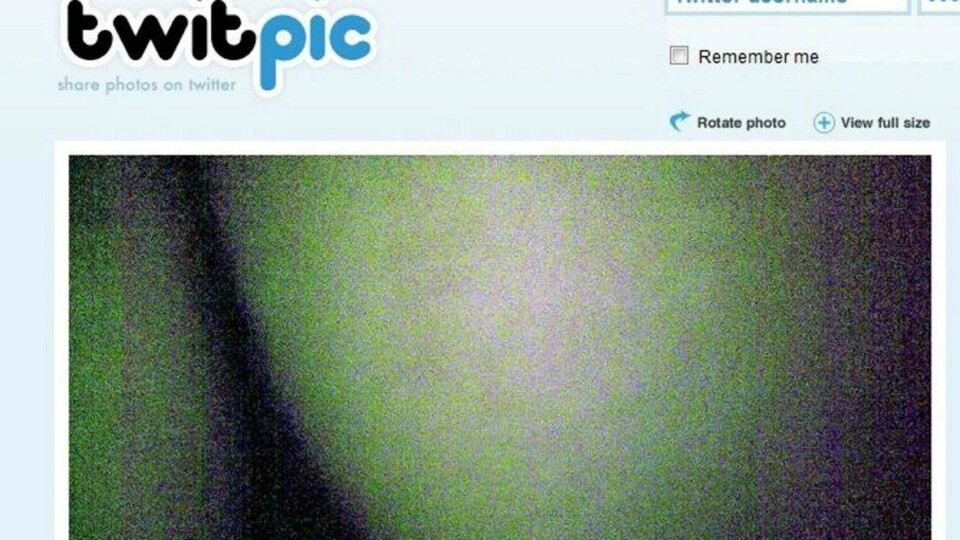 Aulie twitrer rumpa si