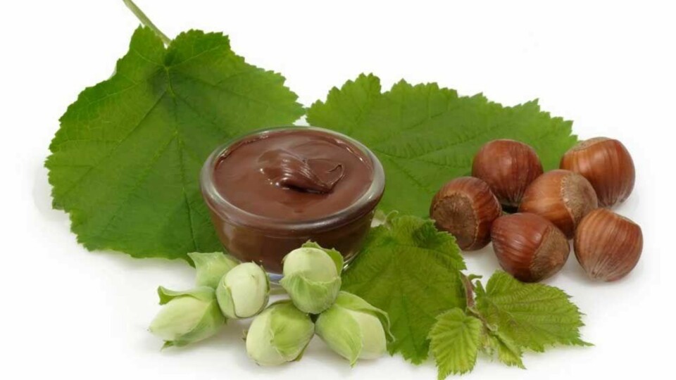 Snacks hver dag?
