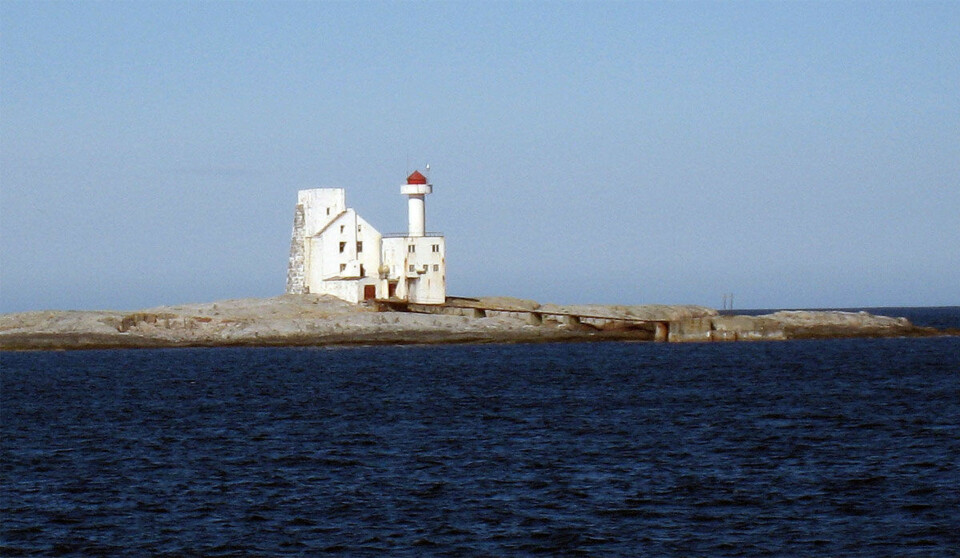 Den ville krigeren