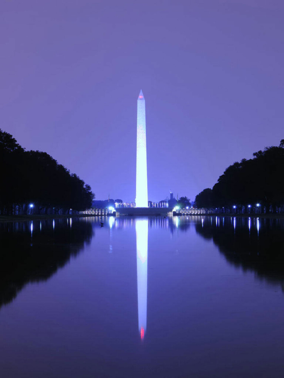 Utnytt Googles hemmeligheter