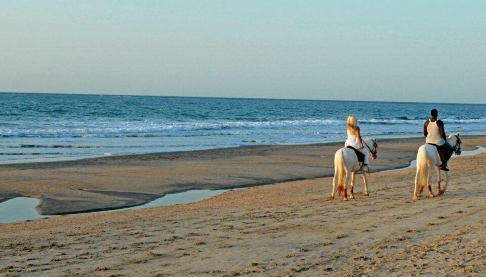 ROMANTIKK PÅ HESTERYGGEN: Mange kvinner i 40-, 50- og 60-årene frekventerer Gambia.