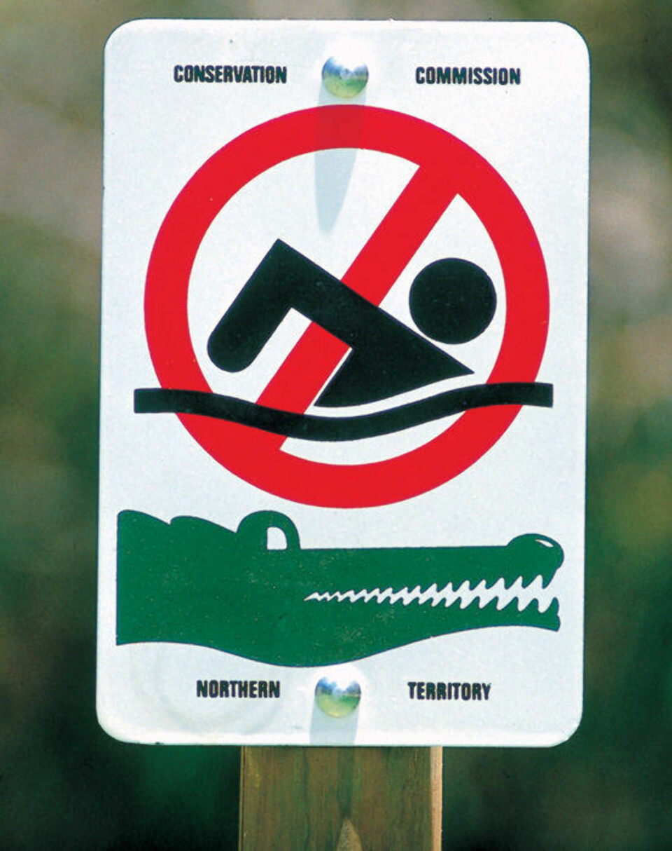 Monsterkrokodille på ett tonn