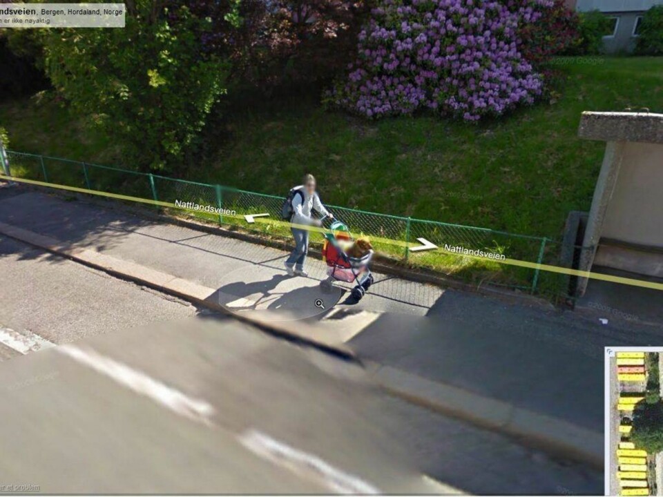 Gigantpenis på Google Maps