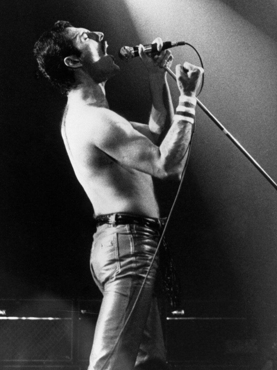 Nå blir han Freddie Mercury