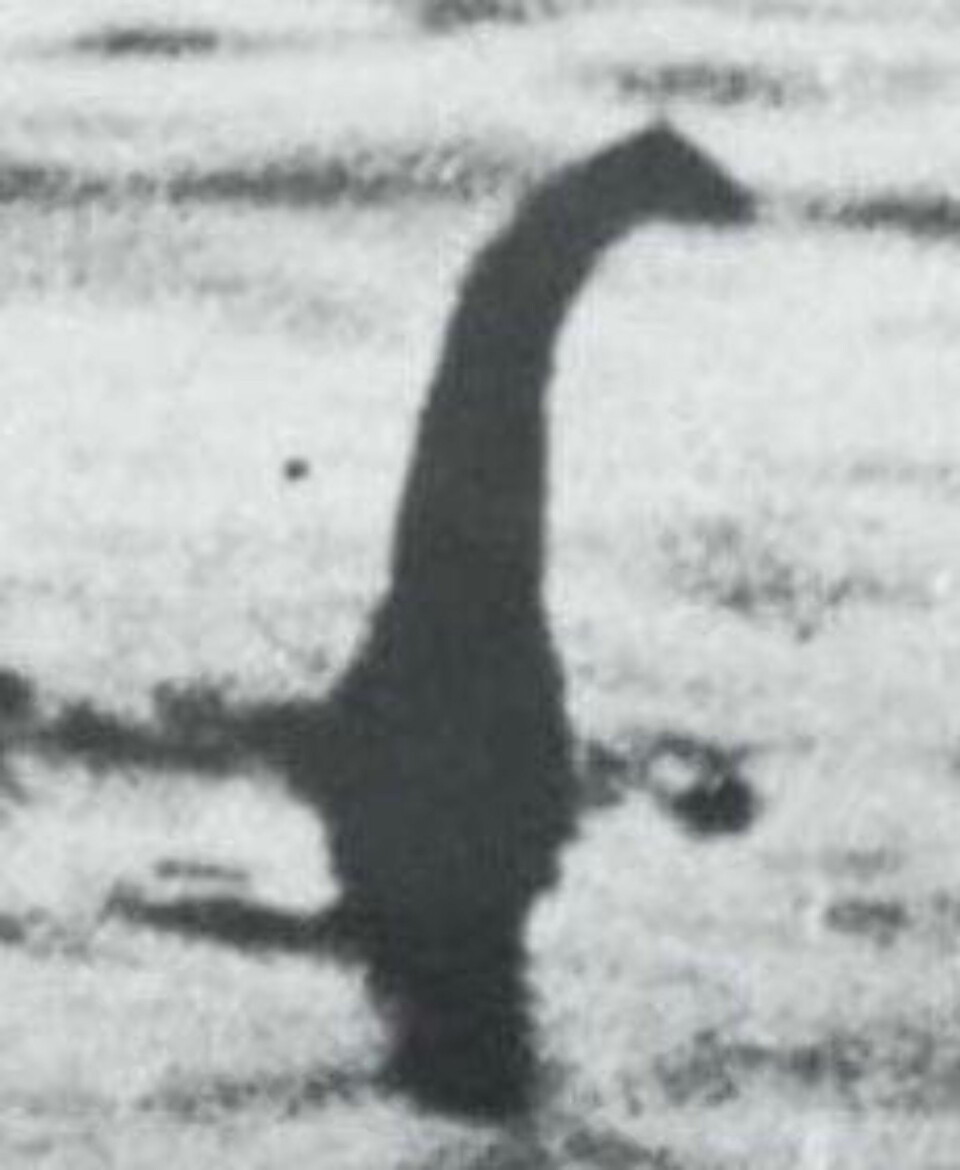 På denne skolen lærer de at Loch Ness-monsteret eksisterer