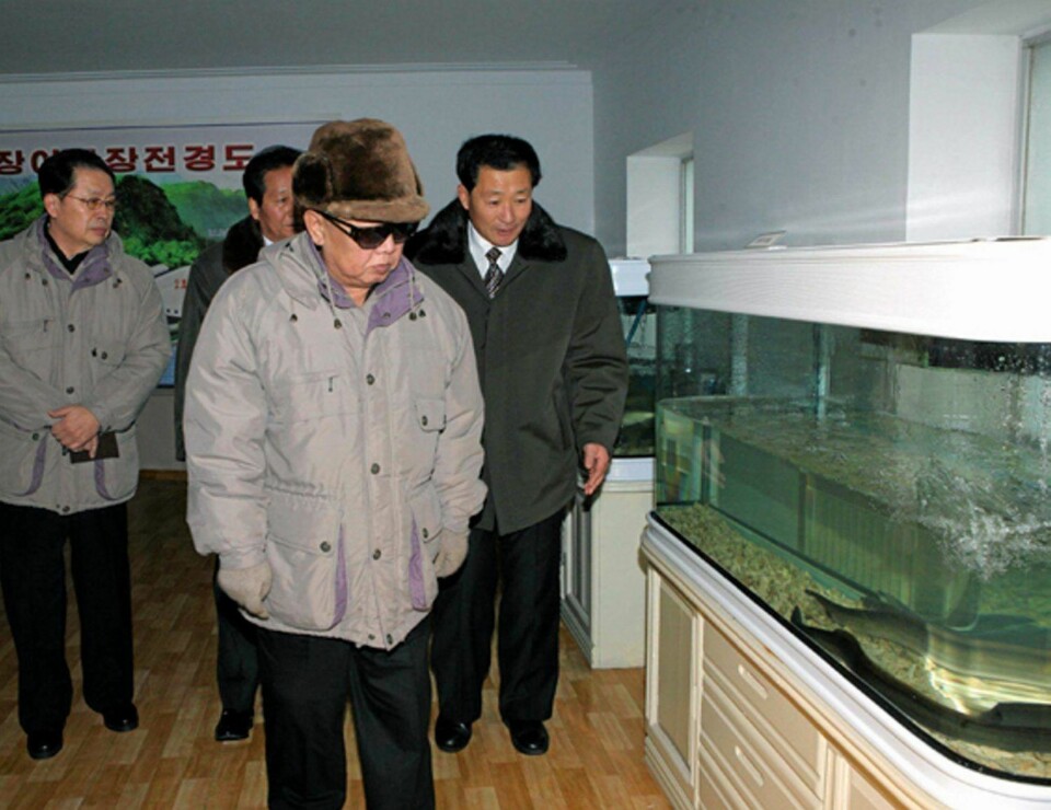 Ingen kunne glo som Kim Jong-Il