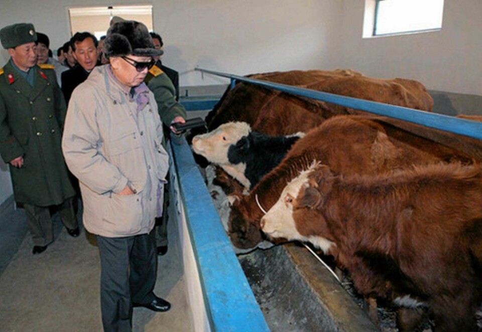 Ingen kunne glo som Kim Jong-Il