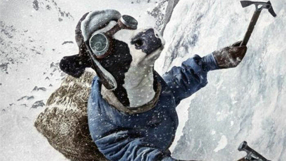 Se hva vi fant på internett
