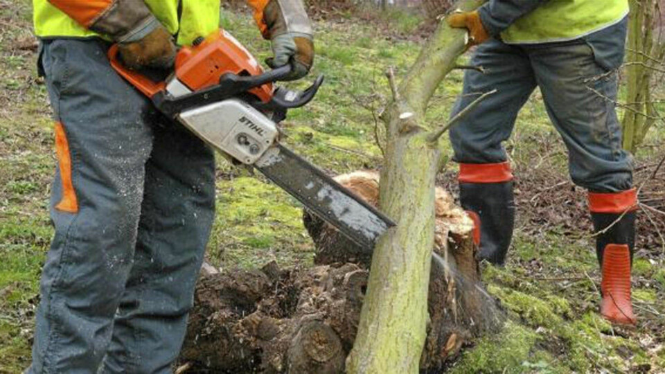 15 ting alle menn må eie