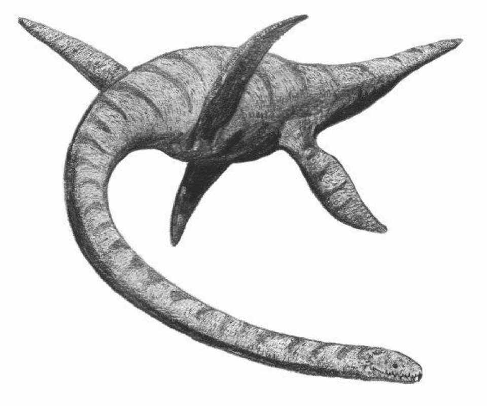 På denne skolen lærer de at Loch Ness-monsteret eksisterer