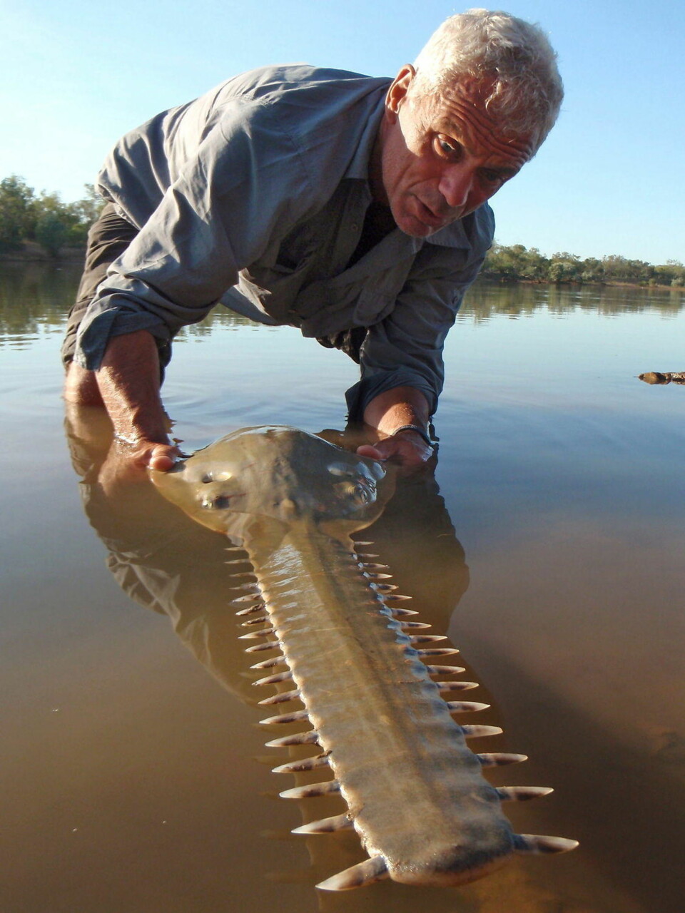 Sjekk den monsterfisken!