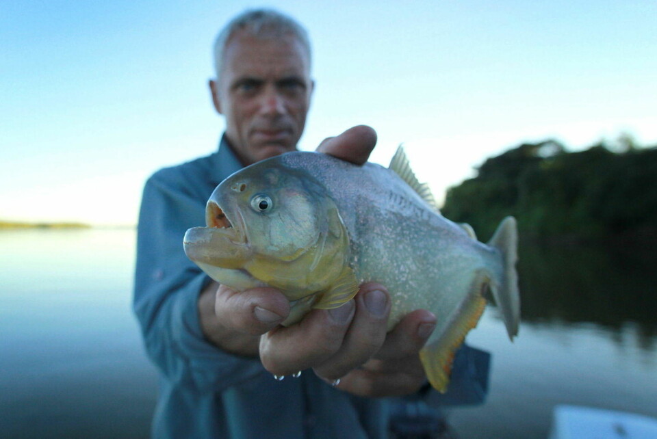 Sjekk den monsterfisken!