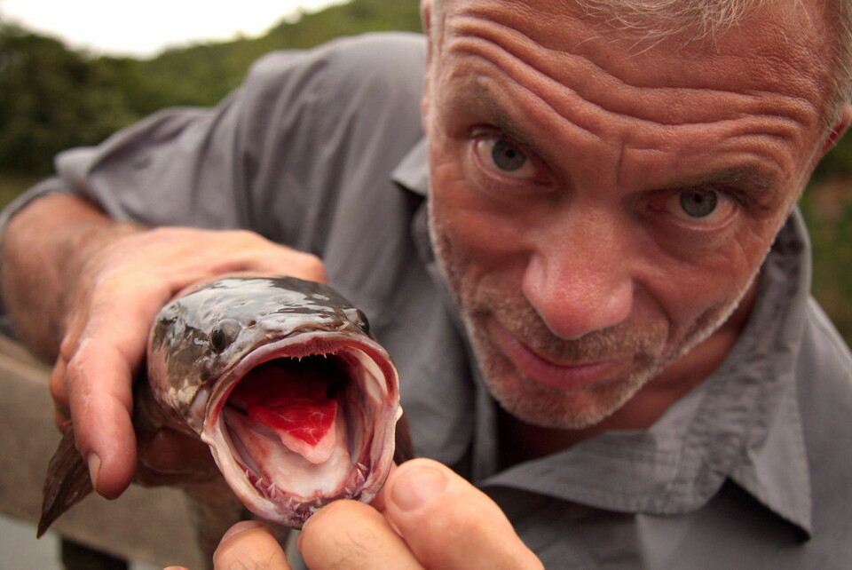 Sjekk den monsterfisken!