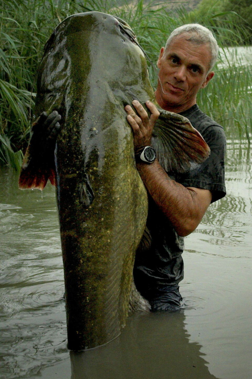 Sjekk den monsterfisken!