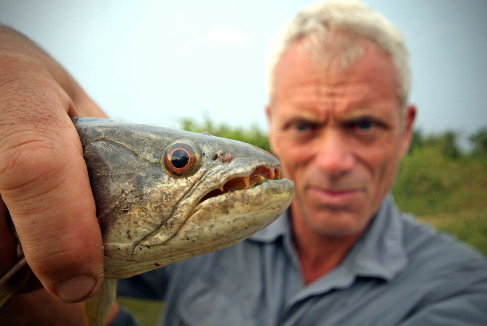 Sjekk den monsterfisken!