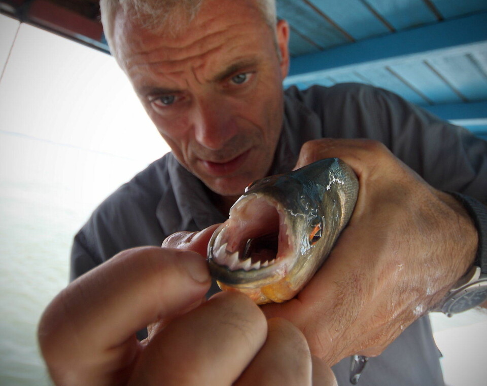 Sjekk den monsterfisken!