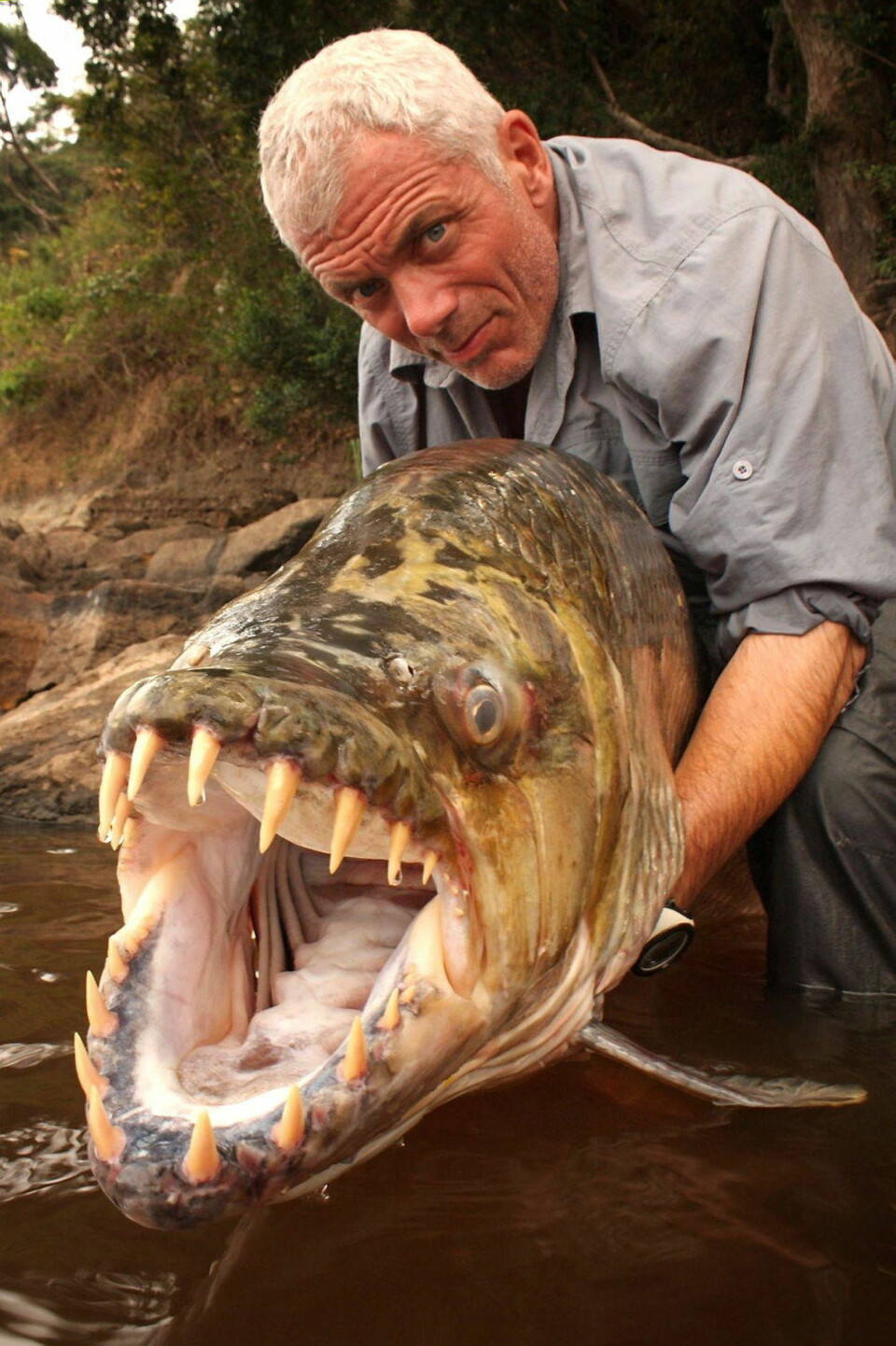 Sjekk den monsterfisken!