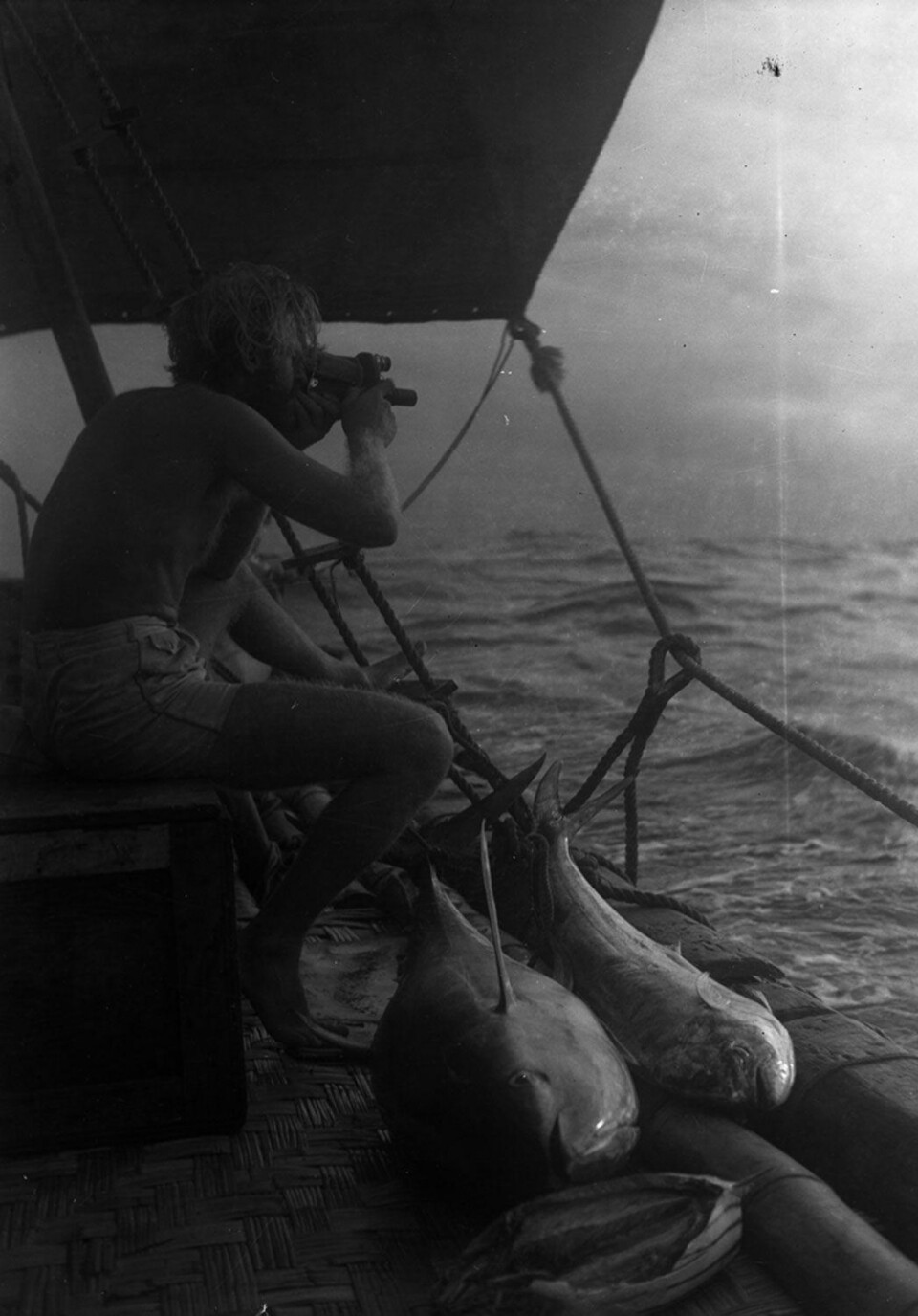 Thor Heyerdahl tok helt feil