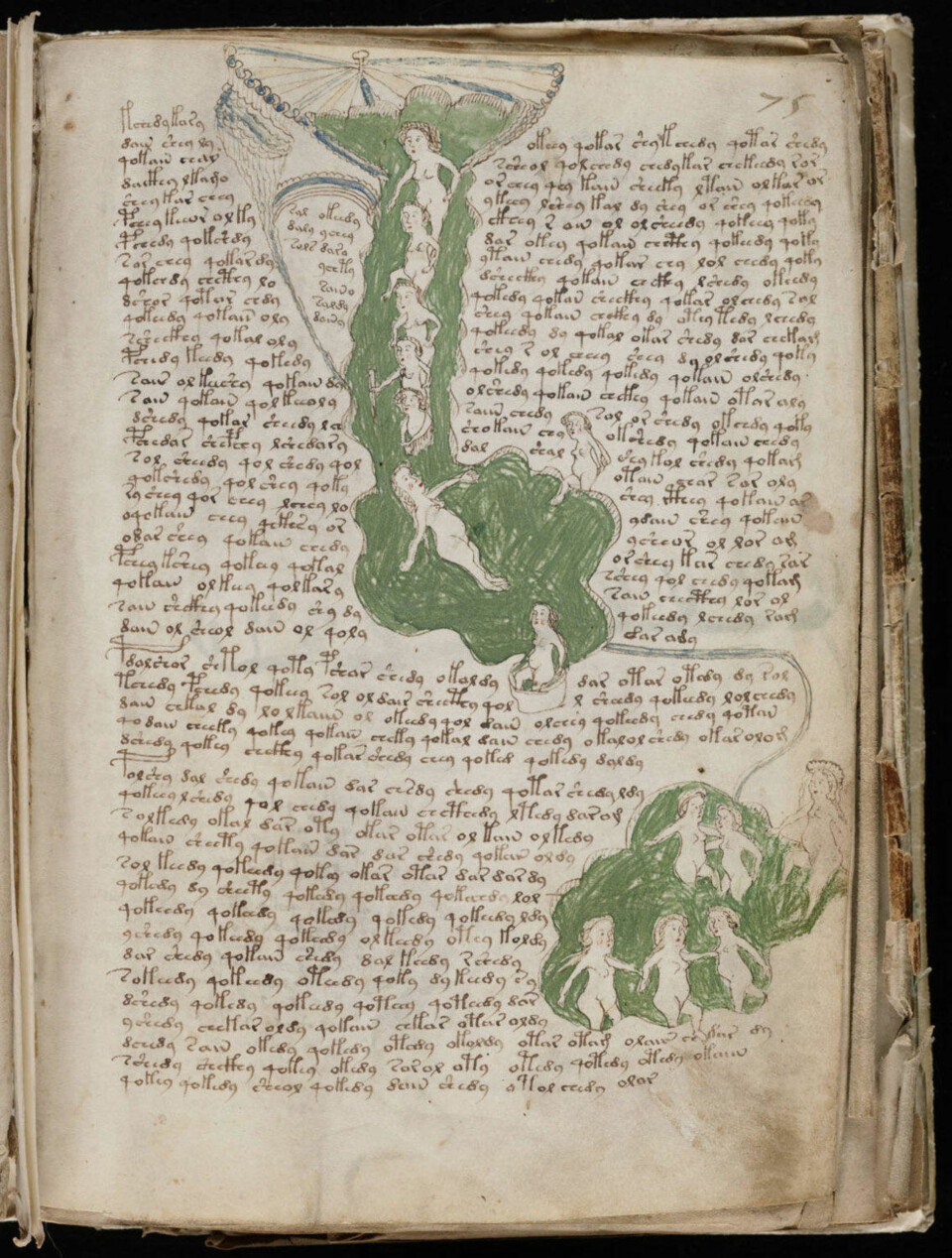 Verdens mest mystiske bok