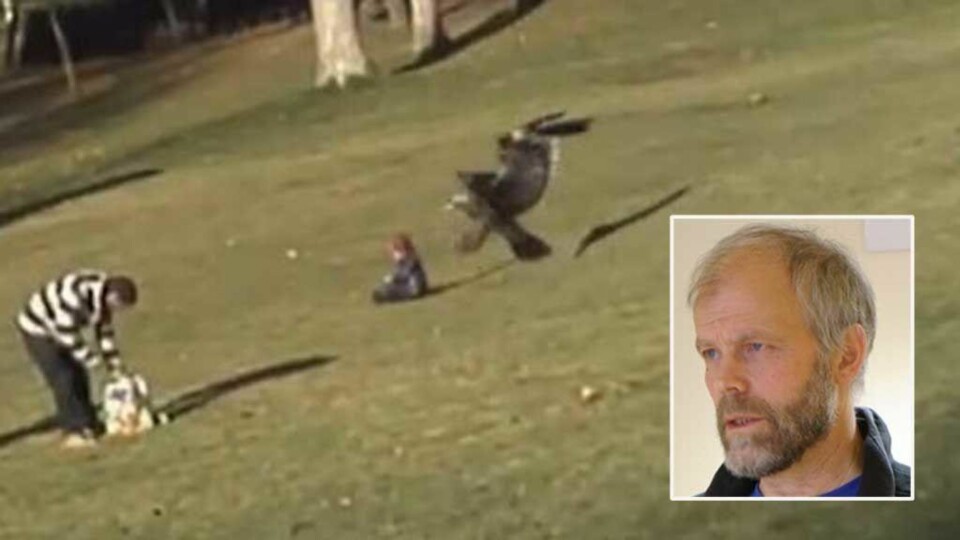 - Videoen er falsk