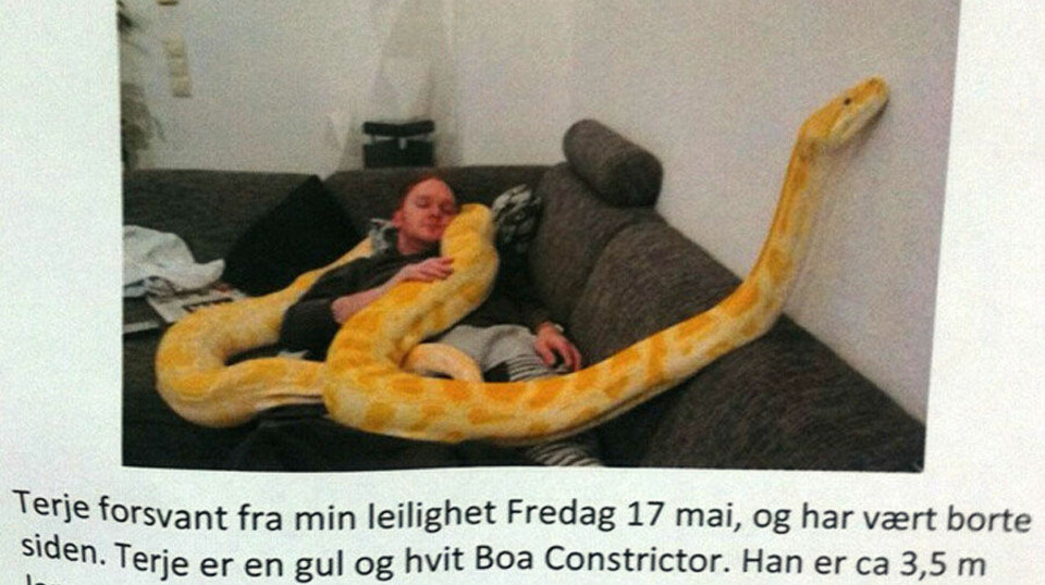 Har du sett Terje?