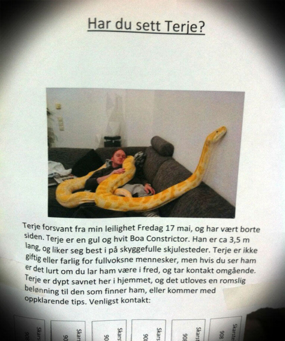 Har du sett Terje?