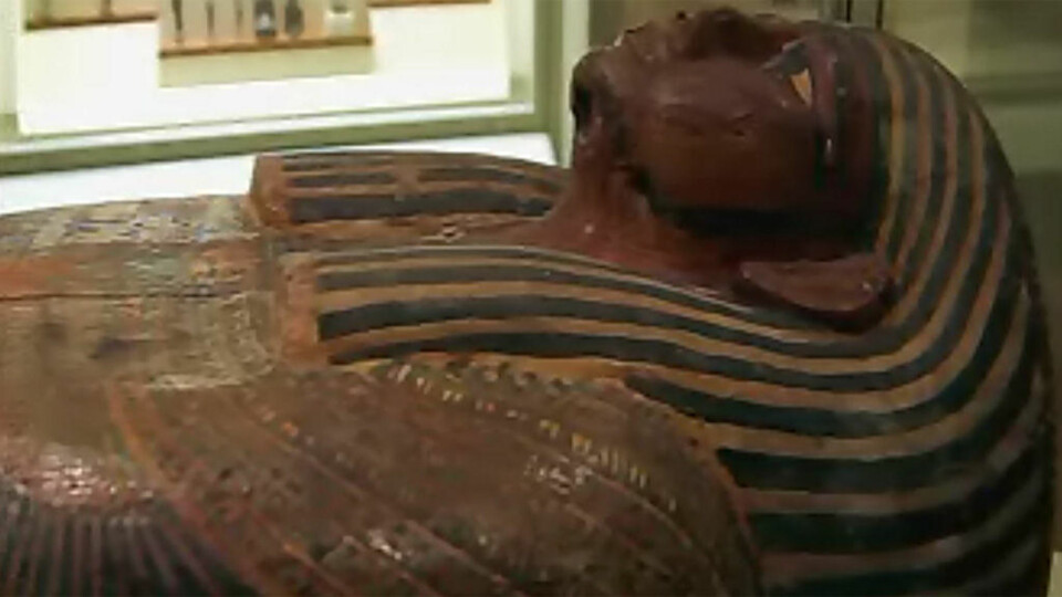 Brukte oldtidens egyptere kokain?