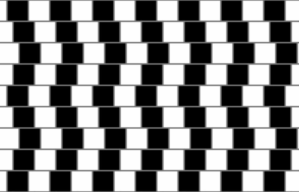 20 utrolige illusjoner
