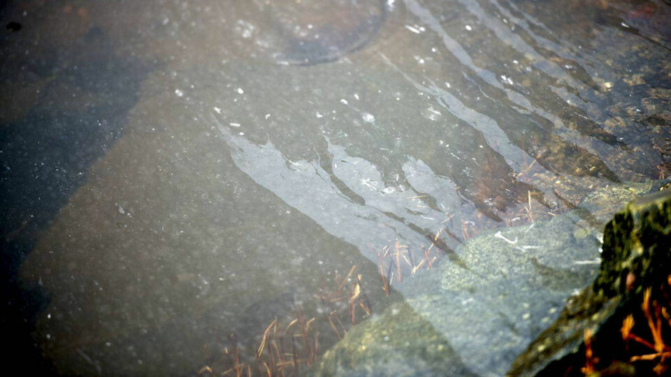 - Det har sjelden sett verre ut
