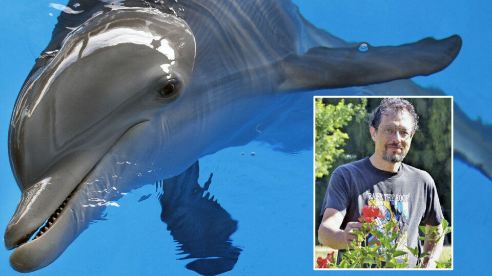 Hadde sex med delfin