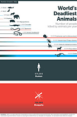 LITEN, MEN FARLIG: Mygg er verdens farligste dyr skal vi tro denne statistikken fra Bill Gates.