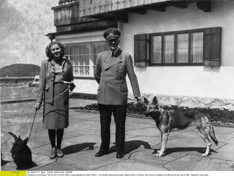 OVERLEVDE: Den nå frigitte rapporten gir vann på mølla til alle konspirasjonsteoretiker som mener at Hitler aldri skjøt seg selv i Førerbunkeren. Her et av de mest ikoniske bildene tatt av diktatoren sammen med elskerinnen Eva Braun.