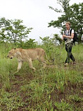 Aaron med en løve i Victoria Falls, Zimbabwe.