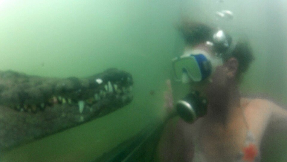 Gemma kom nese til nese med en krokodille i Victoriafallene.