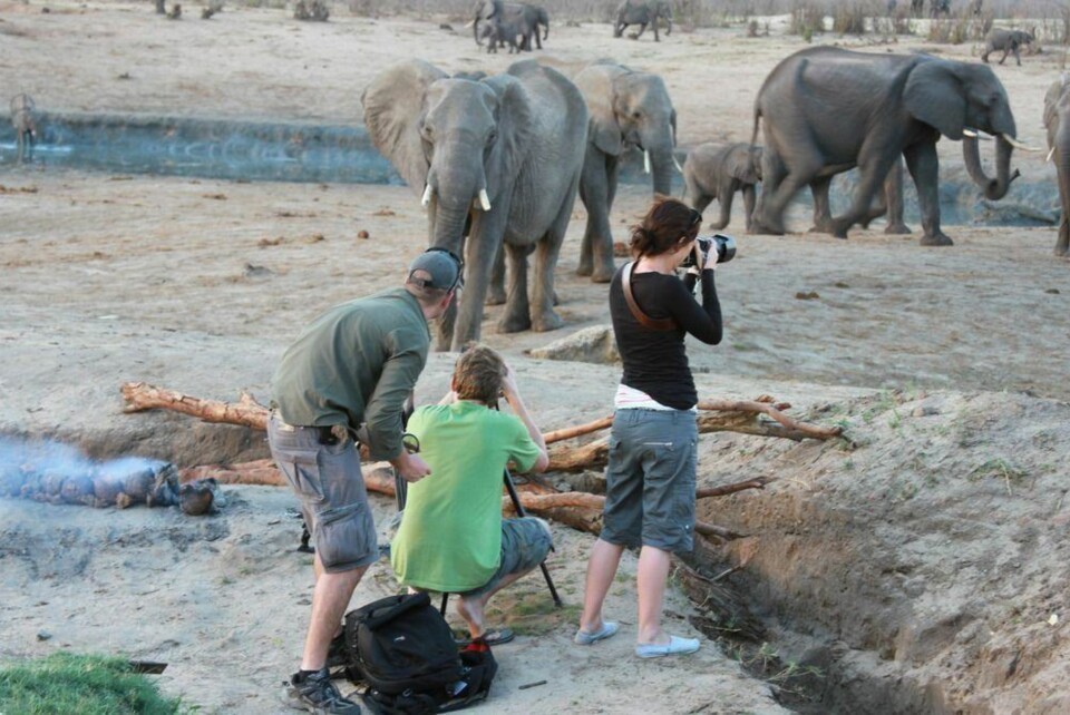 Under filmingen av 'Grey Matters' i Hwange.