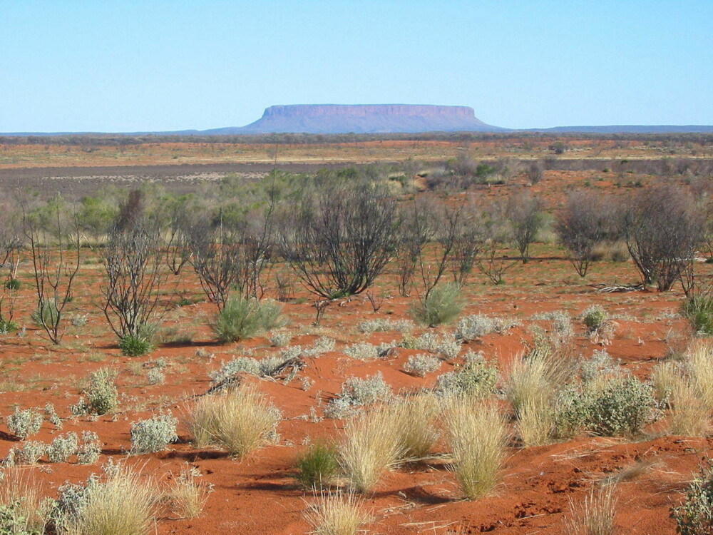 THE OUTBACK: Australia byr på mye rød sand og svidde buskvekster.