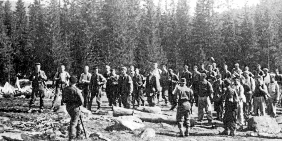 BITTERN-GRUPPEN: En av hovedoppgavene til SOEs agenter var å trene den hemmelige hæren, Milorg. To fra Bittern-gruppen fungerte en tid som instruktører i skogene vest for Oslo