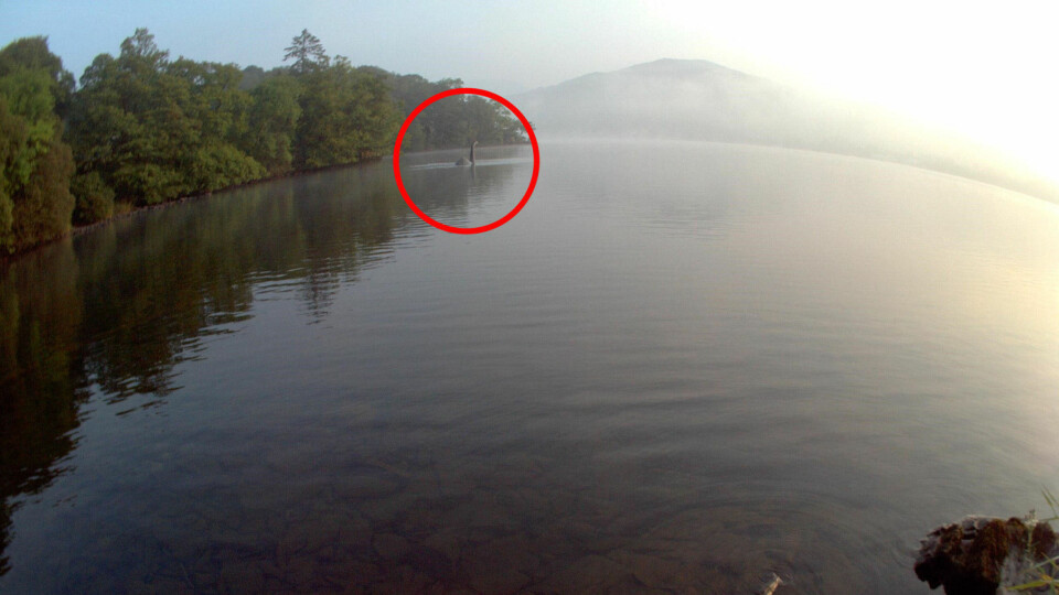 SJØUHYRE? En anonym fotograf skal ha tatt dette bildet ved Windermere - Englands største innsjø.