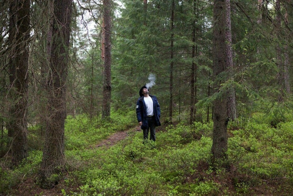Kay kan mye om trær og forteller gjerne om hvorfor skogen rundt Oslo er som den er.