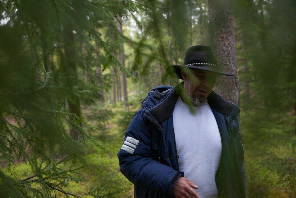 - Er det en spurv vi ser der? Visst faen! En spurv!