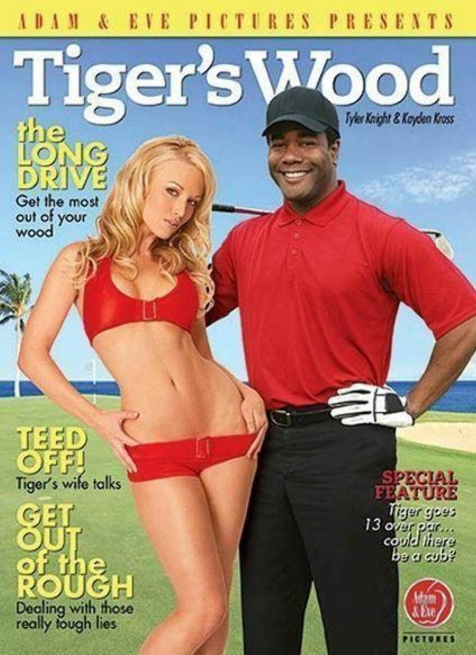 24 fantastiske pornotitler