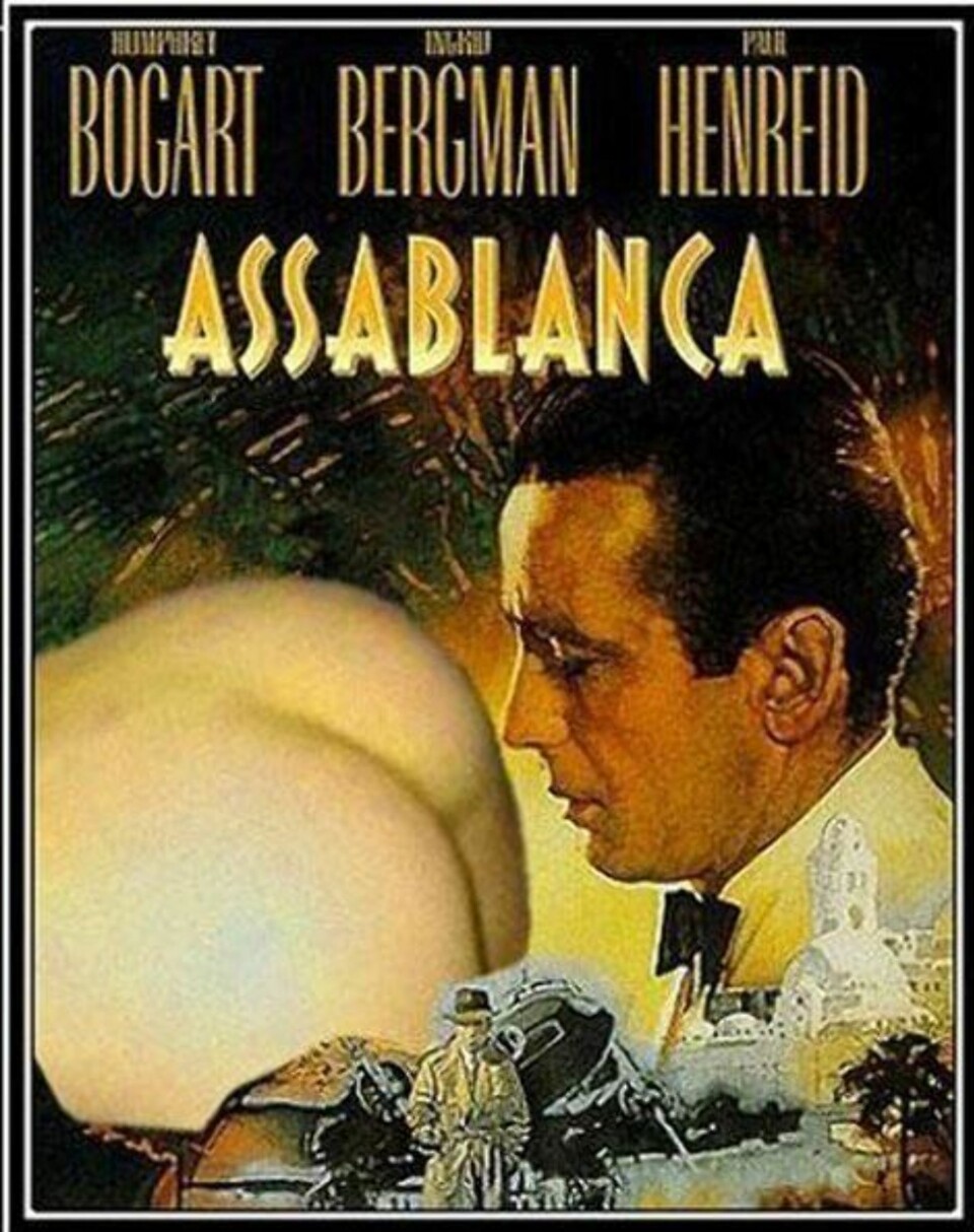 24 fantastiske pornotitler