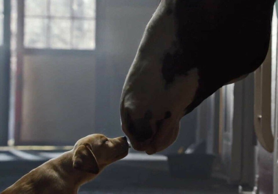 De beste reklamene fra årets Super Bowl