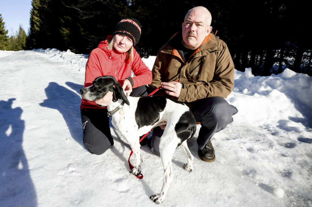 REAGERER: Kari Jerijærvi og Tom Ruud ble møtt av en flokk med løse hunder på søndagsturen.