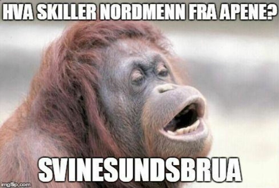 14 svenskevitser som er helt sanne