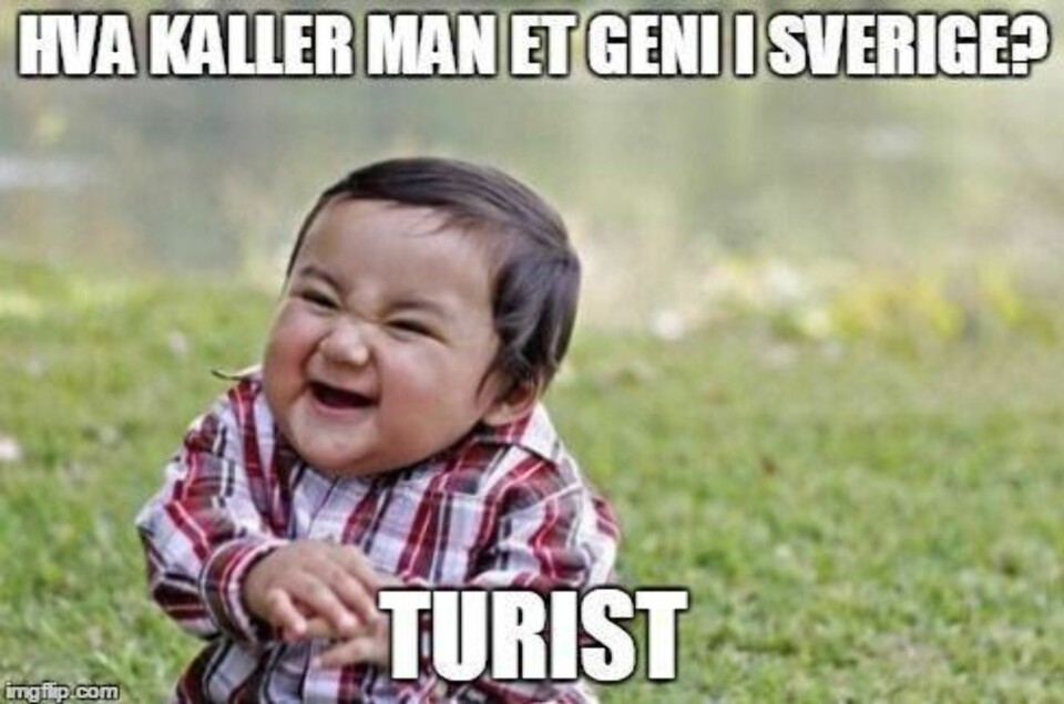 14 svenskevitser som er helt sanne
