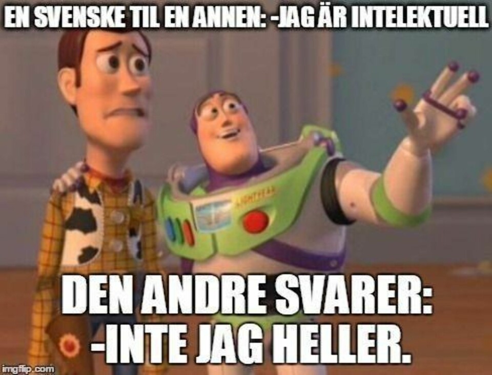 14 svenskevitser som er helt sanne