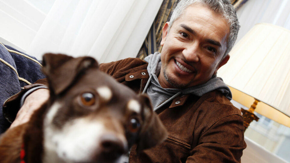 - «Hundehviskeren» mishandler dyrene
