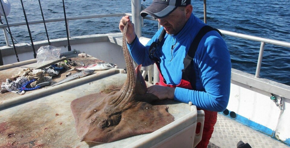 Nordmann med historisk fiskefangst