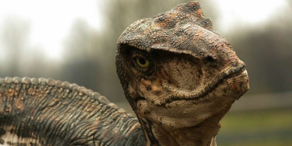 «Jurassic Park»-filmene føles mer realistiske eller vitenskapelige enn filmer som «King Kong» og «Godzilla», men paleontologer advarer folk om å tro for mye av det de ser.